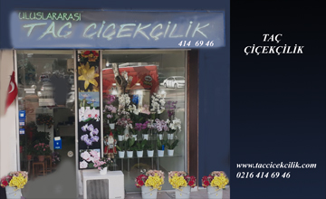 TAÇ ÇİÇEKÇİLİK Taç çiçekçilik olarak Buket, arajman, gelin arabası süslemesi,